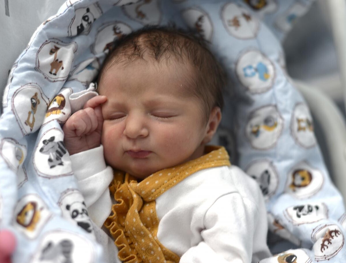 Nikola Laura Adamska