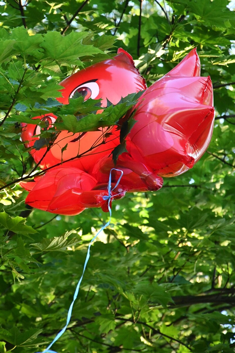 Noc Świętojańska w Rudzie Śląskiej. / fot. Jacek Knapik