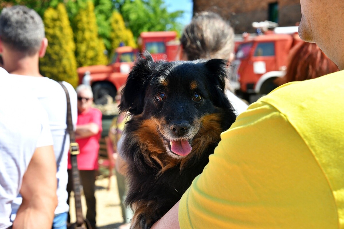 Nowy sezon w Muzeum Historii Polski Ludowej. / fot. Jacek Knapik