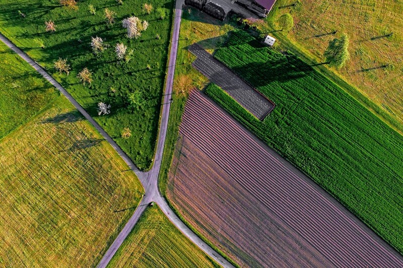 Numer działki - co oznacza i gdzie go znaleźć?