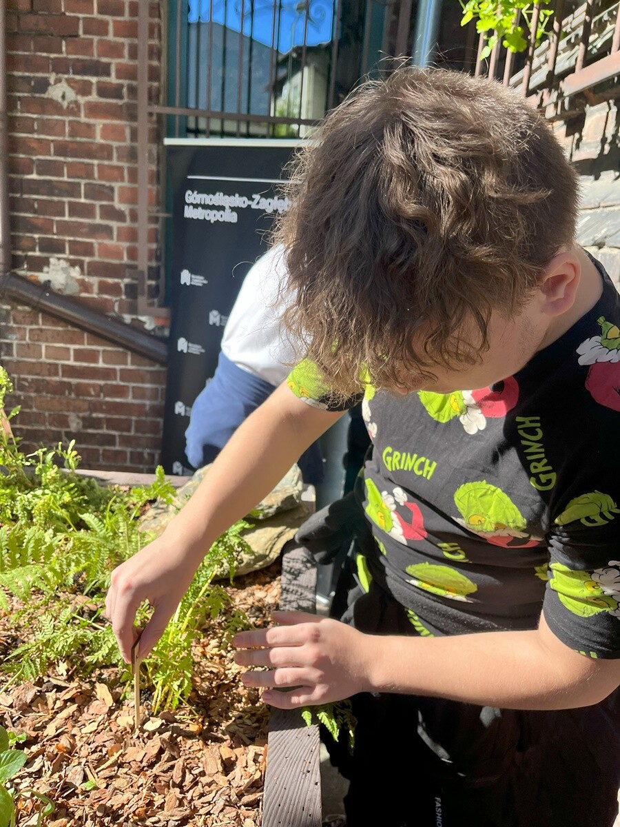 Ogród deszczowy w Zespole Szkół nr 7 w Rudzie Śląskiej. / fot. ZS nr 7
