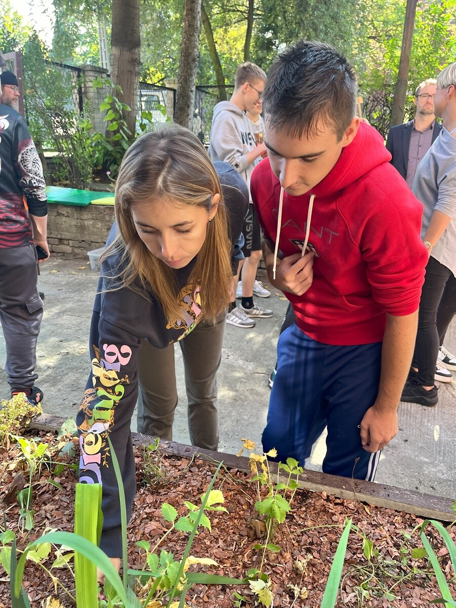 Ogród deszczowy w Zespole Szkół nr 7 w Rudzie Śląskiej. / fot. ZS nr 7