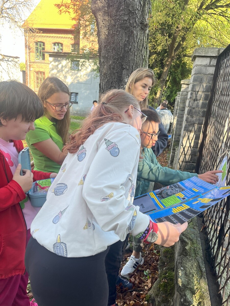 Ogród deszczowy w Zespole Szkół nr 7 w Rudzie Śląskiej. / fot. ZS nr 7
