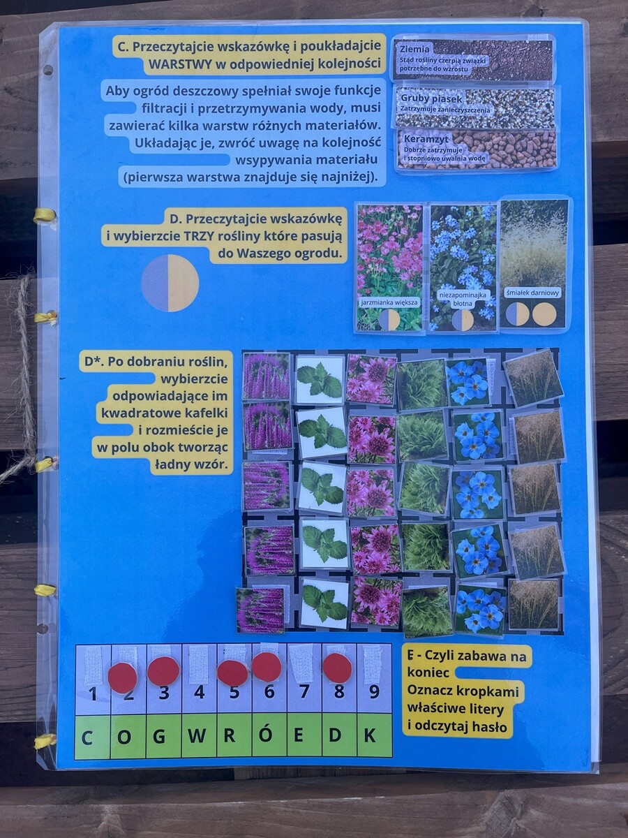 Ogród deszczowy w Zespole Szkół nr 7 w Rudzie Śląskiej. / fot. ZS nr 7