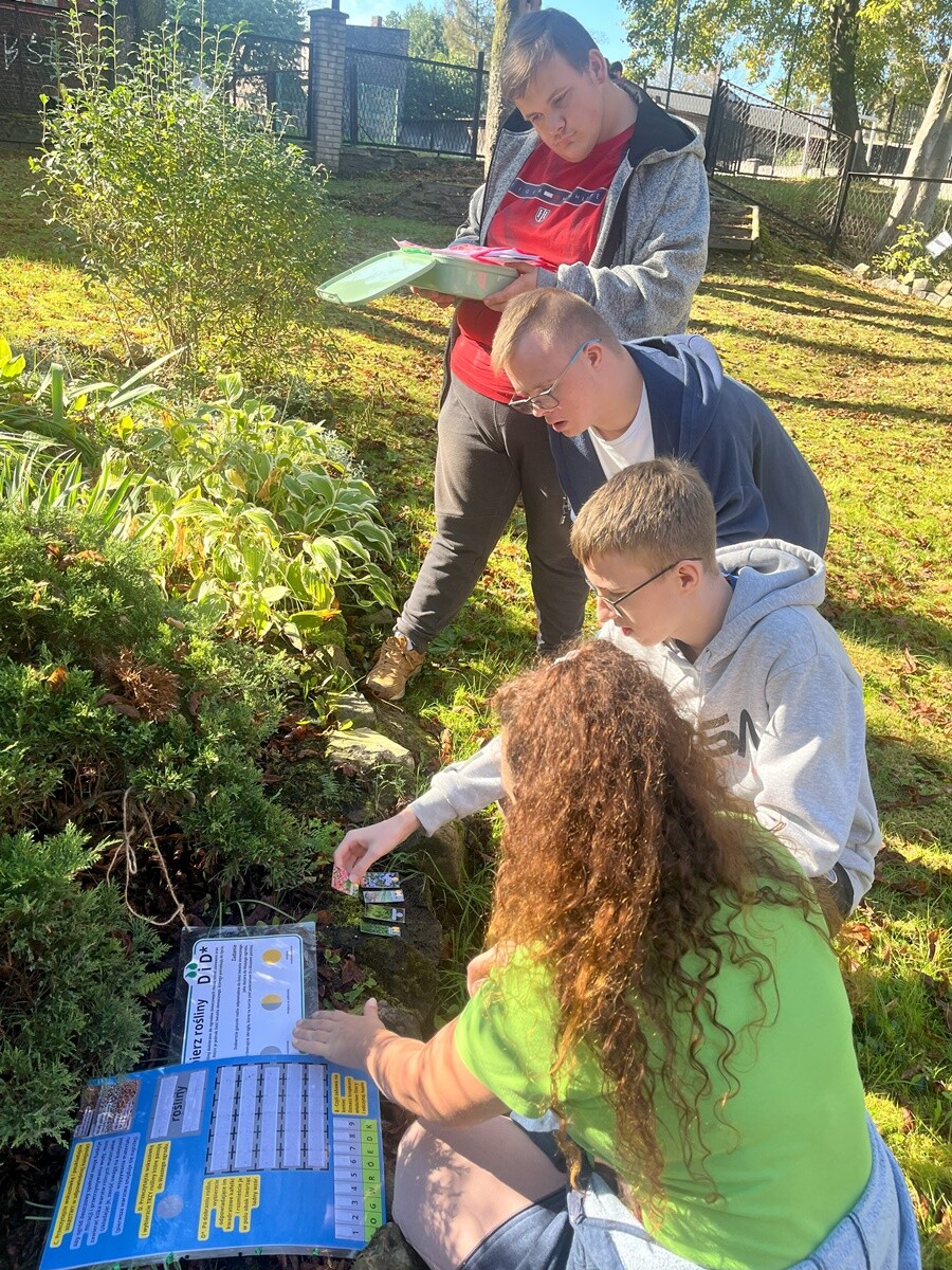 Ogród deszczowy w Zespole Szkół nr 7 w Rudzie Śląskiej. / fot. ZS nr 7