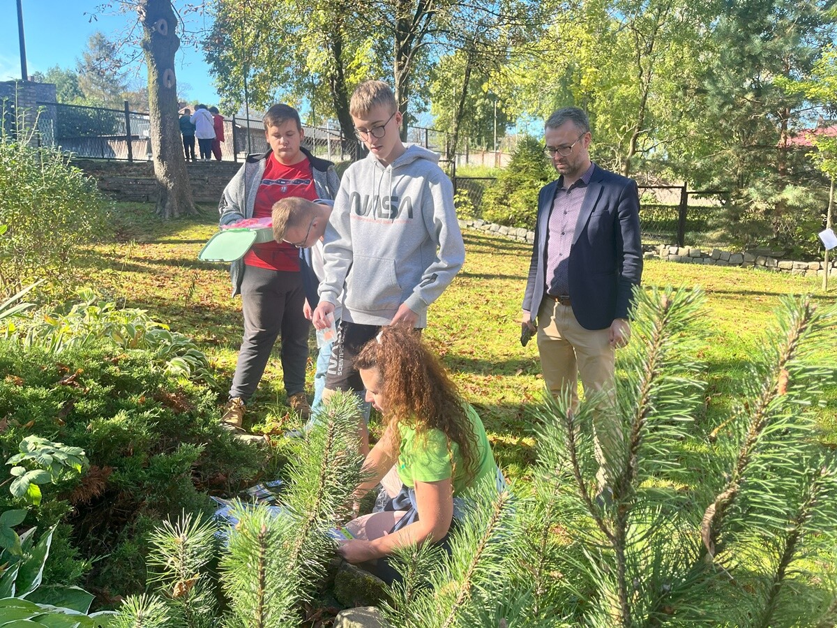 Ogród deszczowy w Zespole Szkół nr 7 w Rudzie Śląskiej. / fot. ZS nr 7