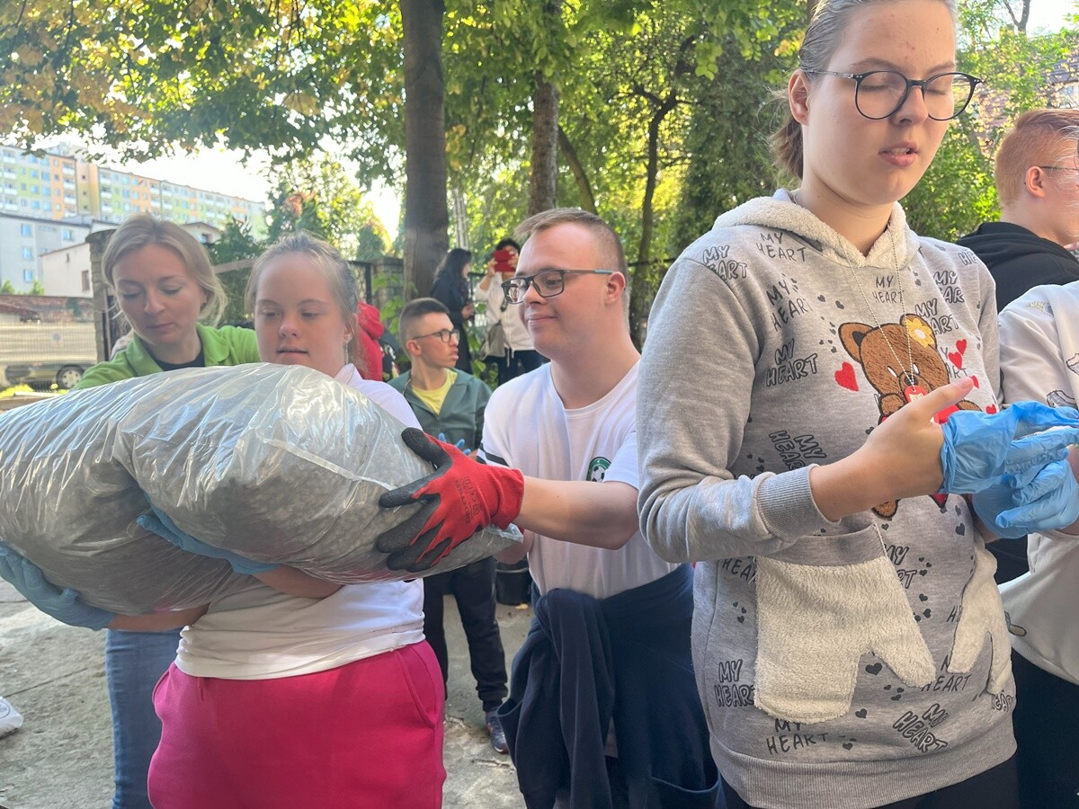 Ogród deszczowy w Zespole Szkół nr 7 w Rudzie Śląskiej. / fot. ZS nr 7
