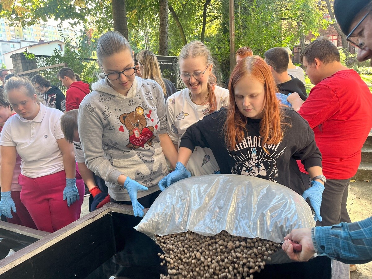 Ogród deszczowy w Zespole Szkół nr 7 w Rudzie Śląskiej. / fot. ZS nr 7