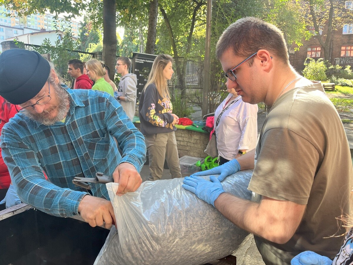 Ogród deszczowy w Zespole Szkół nr 7 w Rudzie Śląskiej. / fot. ZS nr 7