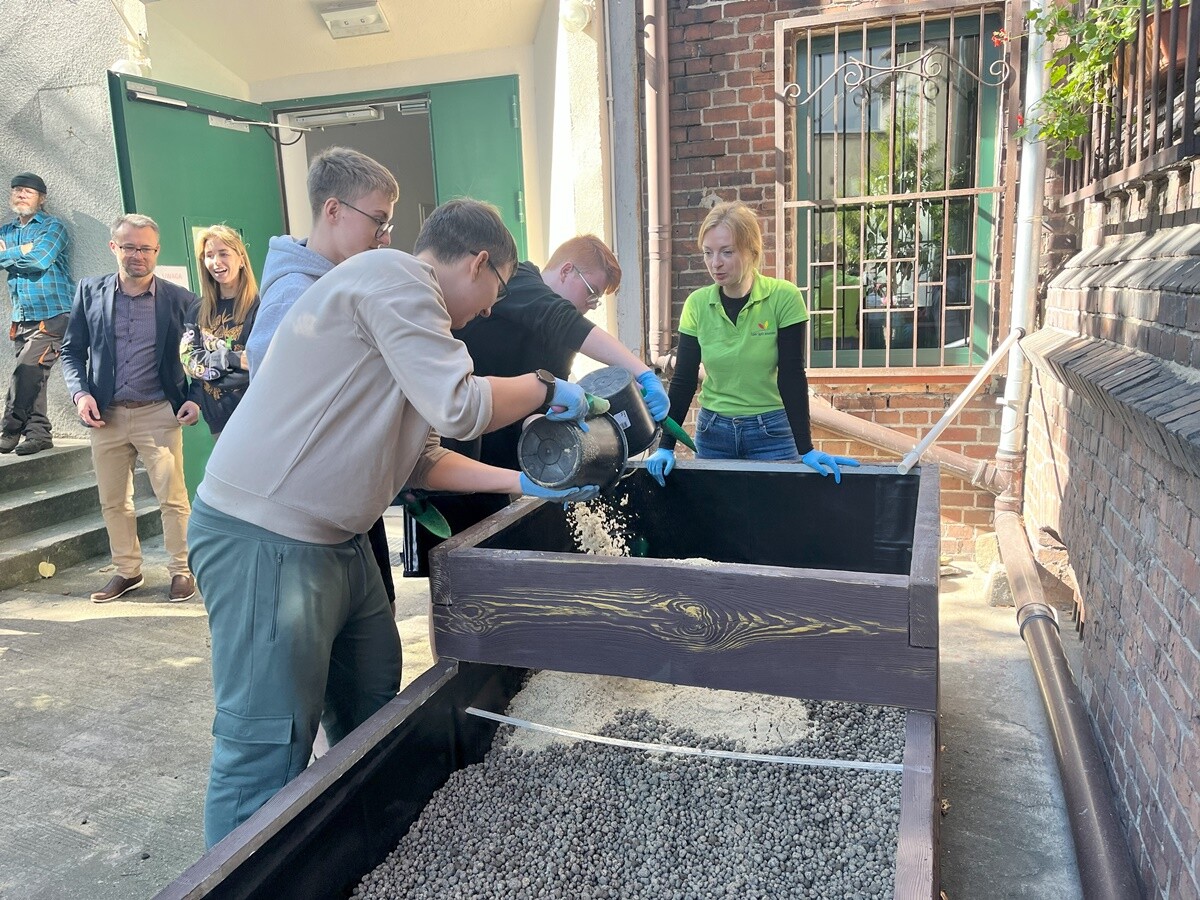 Ogród deszczowy w Zespole Szkół nr 7 w Rudzie Śląskiej. / fot. ZS nr 7
