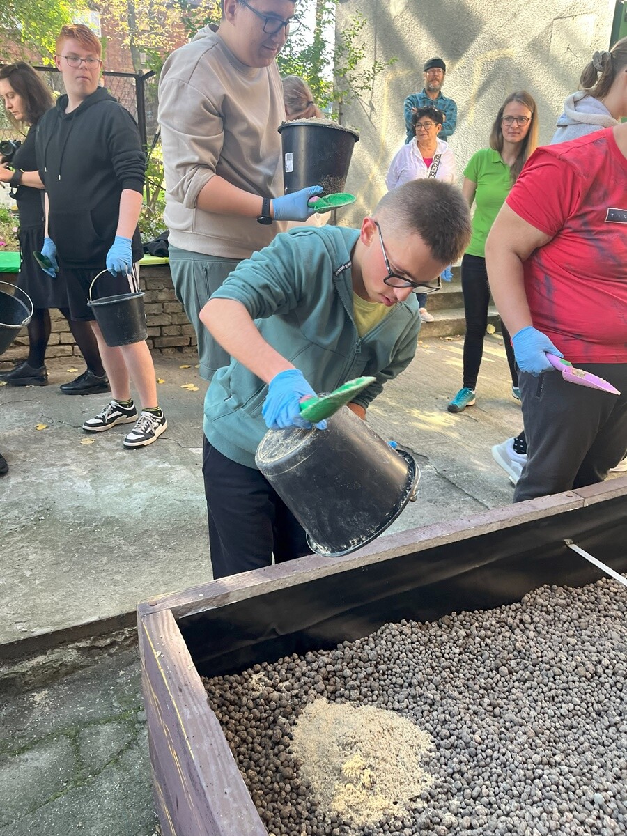 Ogród deszczowy w Zespole Szkół nr 7 w Rudzie Śląskiej. / fot. ZS nr 7