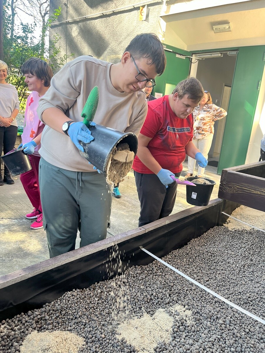Ogród deszczowy w Zespole Szkół nr 7 w Rudzie Śląskiej. / fot. ZS nr 7