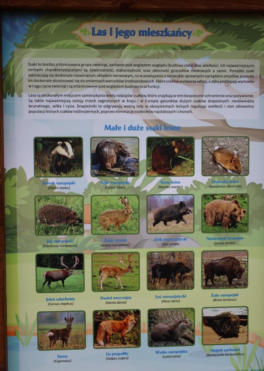 Oficjalne rozpoczęcie działalności „Pracowni pod chmurką” oraz „Klasy z drewna” odbyło się przy Szkole Mistrzostwa Sportowego w Rudzie Śląskiej.