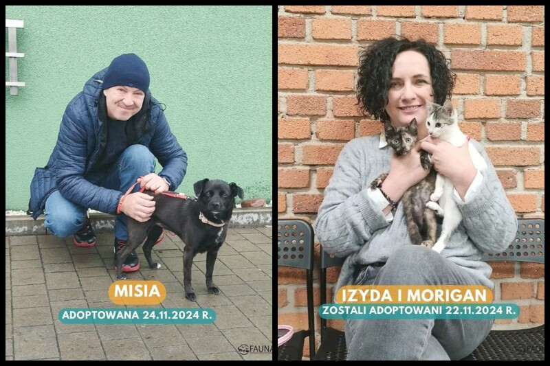 Padł nowy rekord adopcji zwierzaków w jednym tygodniu!