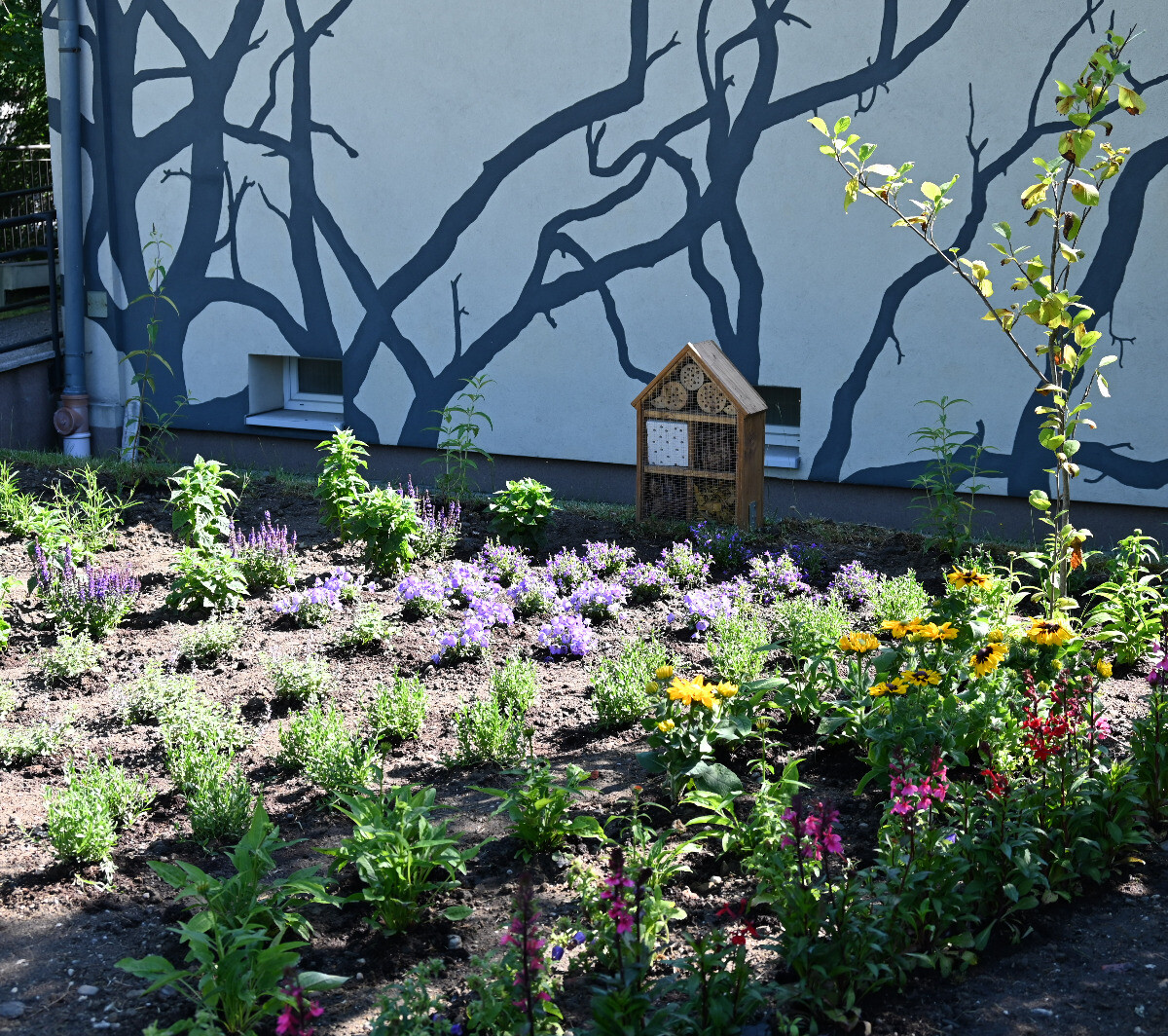 Park kieszonkowy "Zielona Wioska" W SP 35. / fot. UM Ruda Śląska