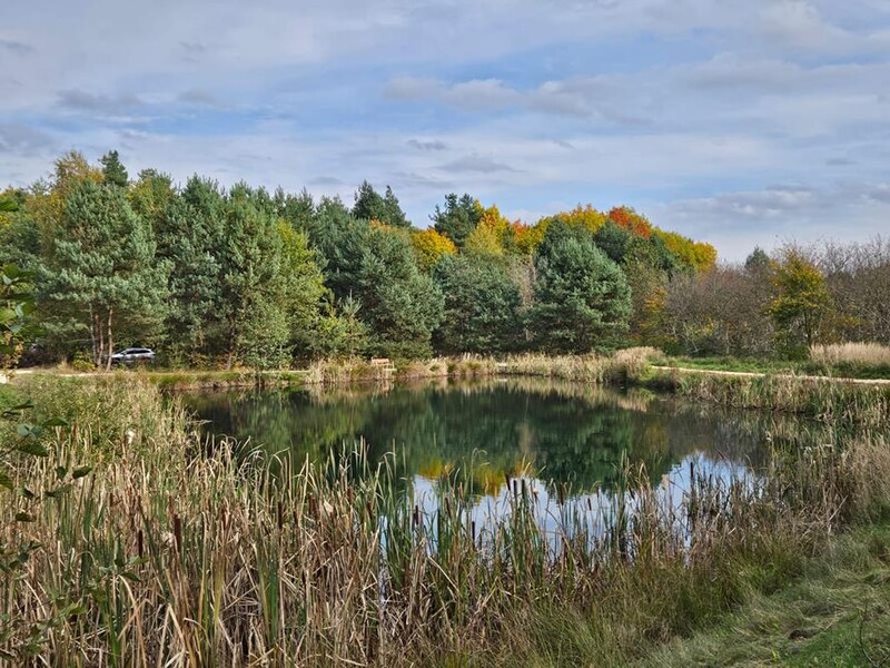 Park Sarenity w Mysłowicach otwarty! 4000 m² zieleni w dzielnicy Kosztowy