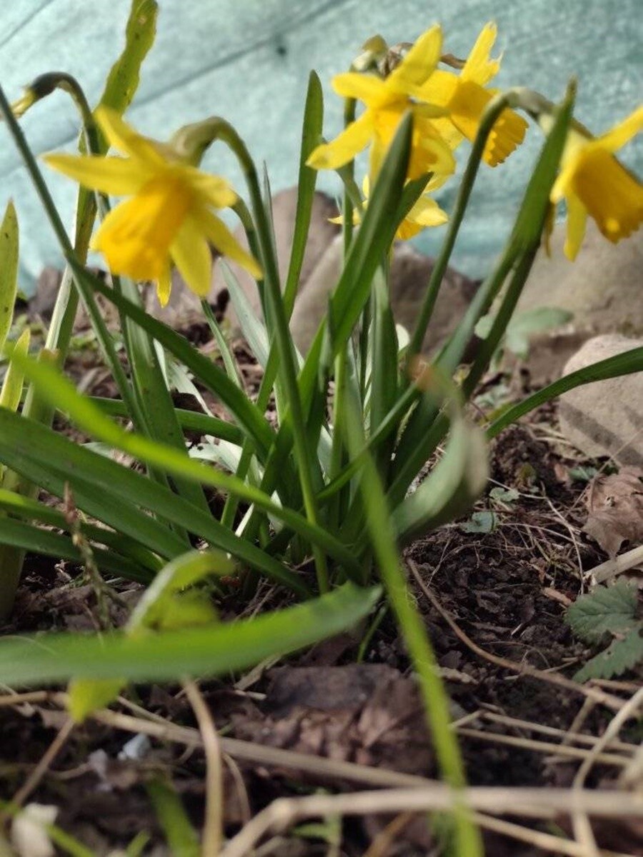 Pierwsze oznaki wiosny. / fot. Czytelnicy