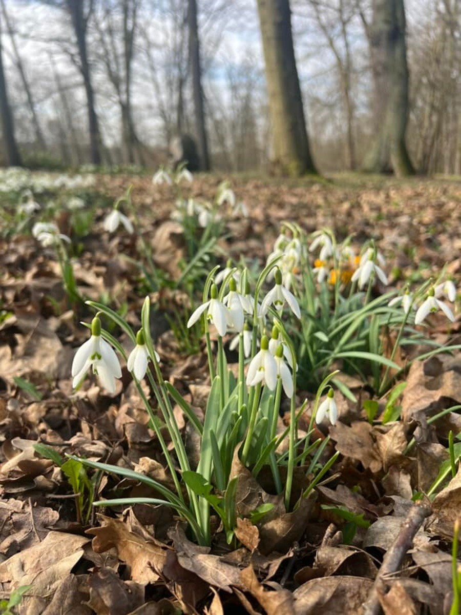 Pierwsze oznaki wiosny. / fot. Czytelnicy