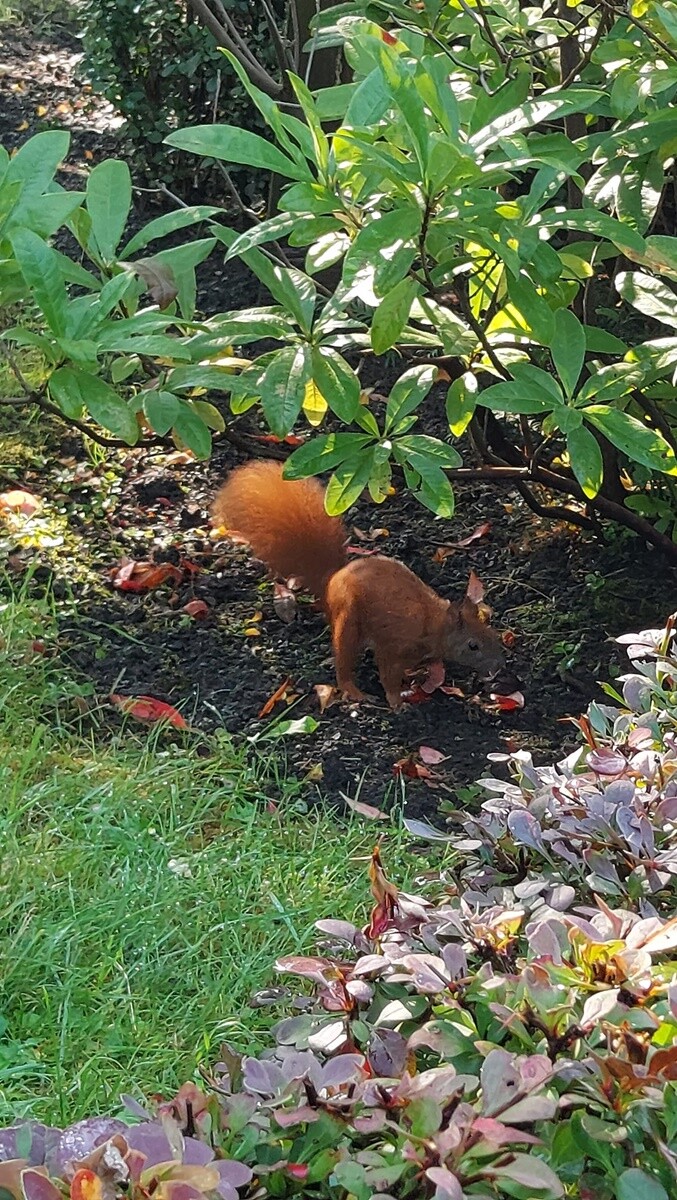 Pierwsze oznaki wiosny. / fot. Czytelnicy