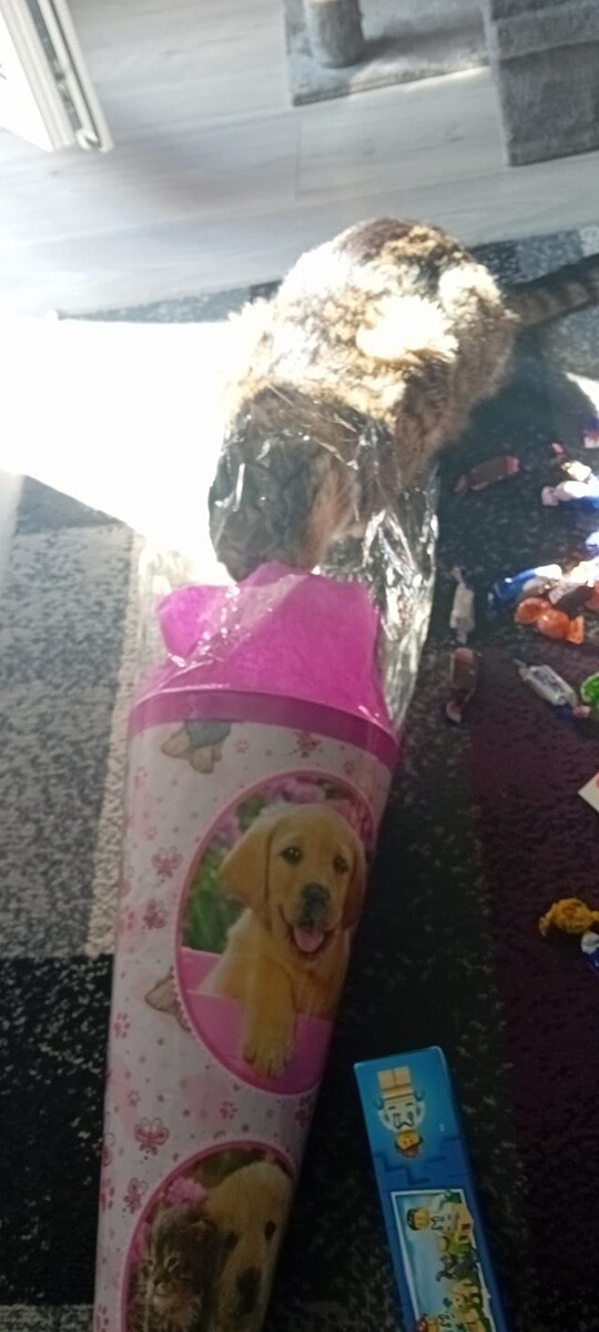 Pierwszy dzień w szkole to sprawa niebanalna – nowe miejsce, nowi znajomi, nauczyciele!