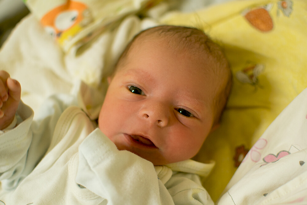 Piotr Dawid Krempuła