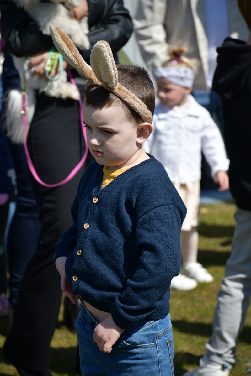 Tłumy dzieci na wielkanocnych poszukiwaniach jajek w Rudzie Śląskiej.