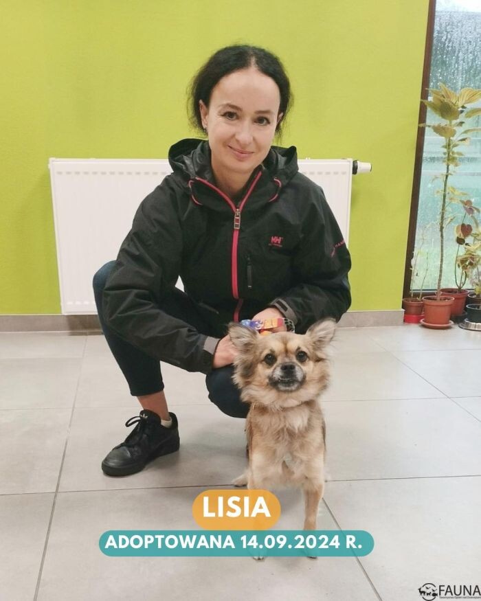 Rekordowy tydzień adopcji w Faunie!/fot. TOZ Fauna