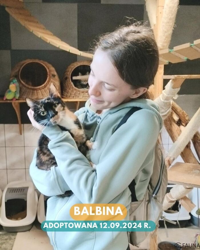 Rekordowy tydzień adopcji w Faunie!/fot. TOZ Fauna