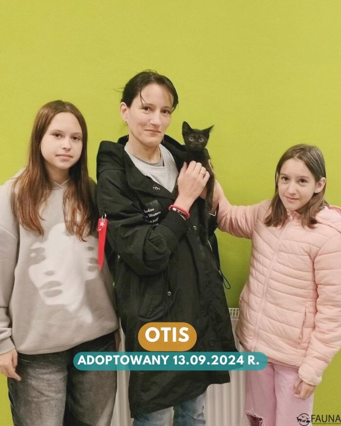 Rekordowy tydzień adopcji w Faunie!/fot. TOZ Fauna