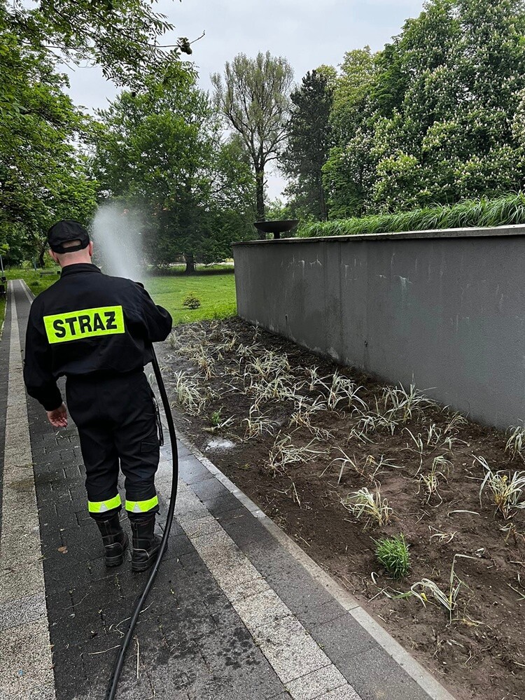 W ubiegły czwartek planty w Kochłowicach tłumnie odwiedzili miłośnicy roślin. Obsadzili rozmaitymi gatunkami kwiatów parkowe alejki.

fot. Rafał Wypior