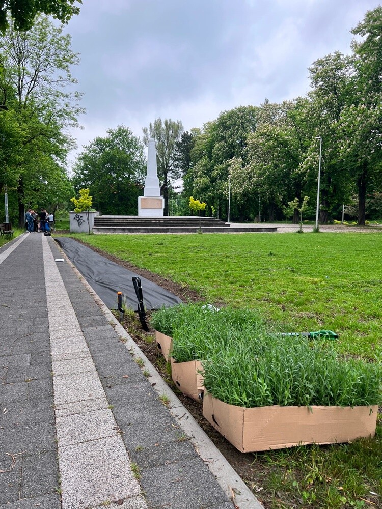 W ubiegły czwartek planty w Kochłowicach tłumnie odwiedzili miłośnicy roślin. Obsadzili rozmaitymi gatunkami kwiatów parkowe alejki.

fot. Rafał Wypior