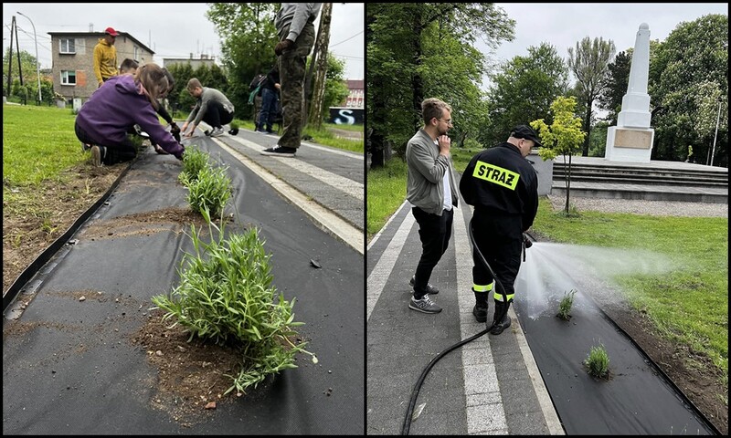 Roślinna (r)ewolucja na plantach w Kochłowicach