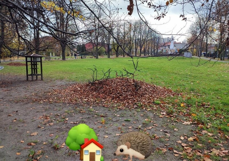 Ruda Śląska: Kopce dla jeży powstały na kochłowickich plantach