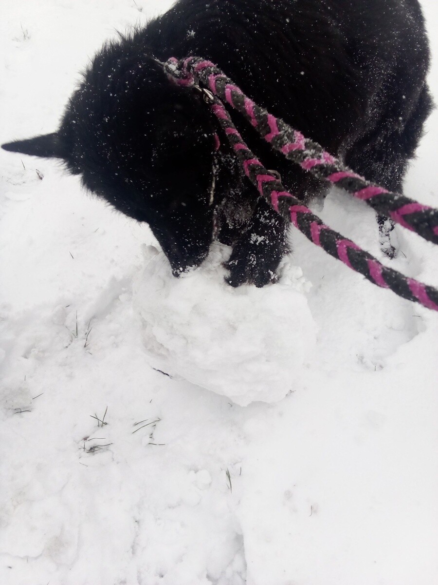 Ruda Śląska w śnieżnej odsłonie. / fot. Czytelnicy