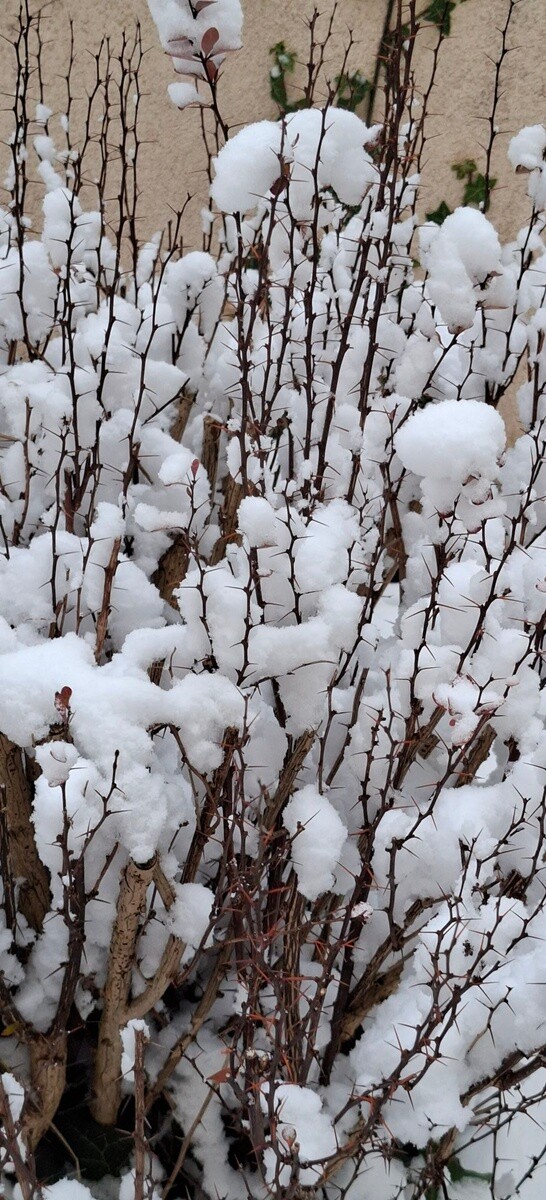 Ruda Śląska w śnieżnej odsłonie. / fot. Czytelnicy