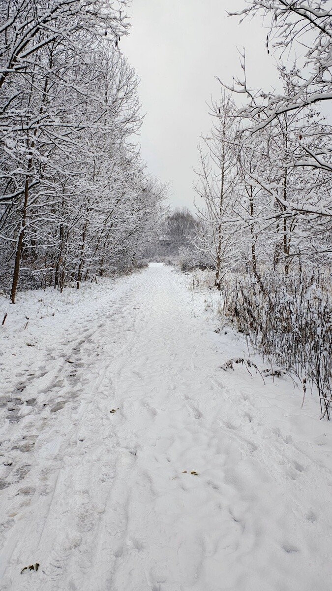 Ruda Śląska w śnieżnej odsłonie. / fot. Czytelnicy