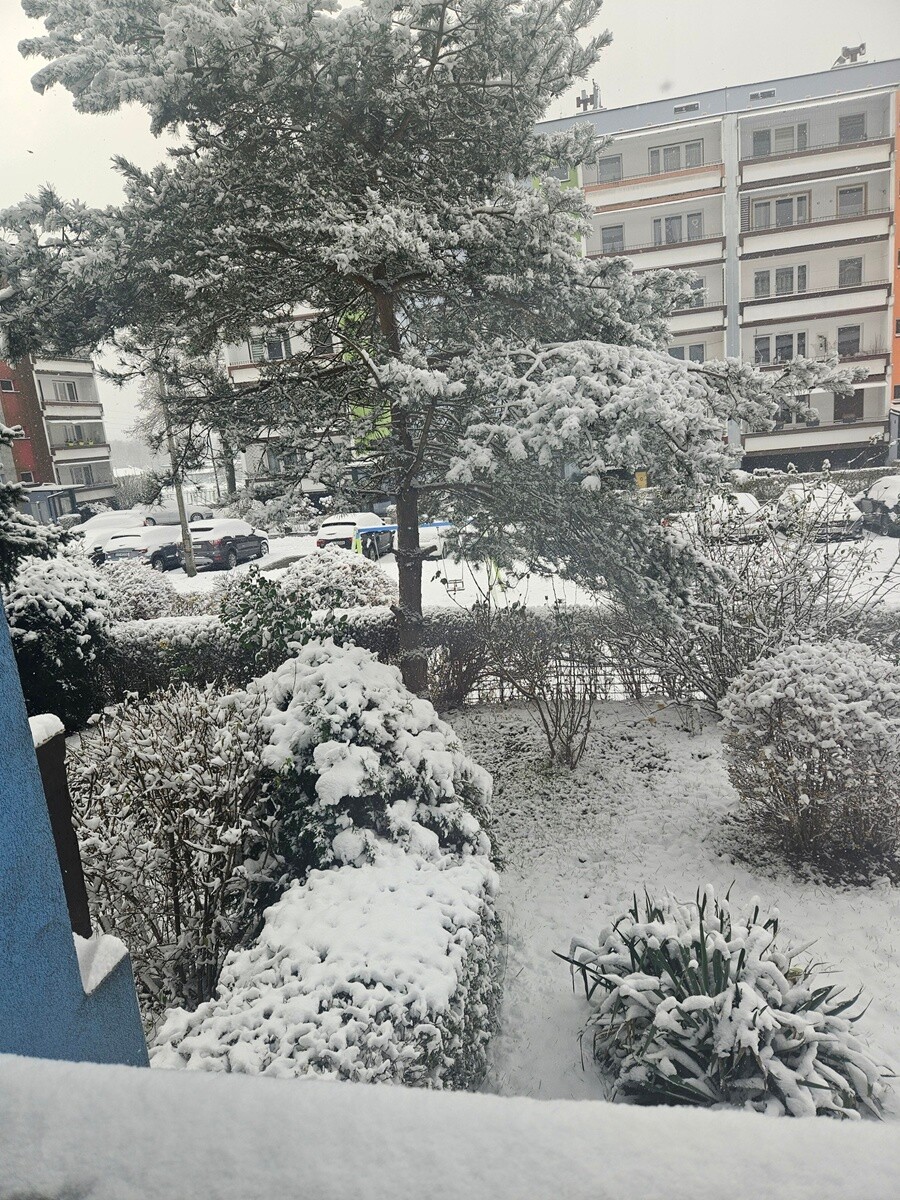 Ruda Śląska w śnieżnej odsłonie. / fot. Czytelnicy
