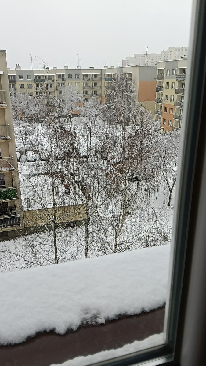 Ruda Śląska w śnieżnej odsłonie. / fot. Czytelnicy