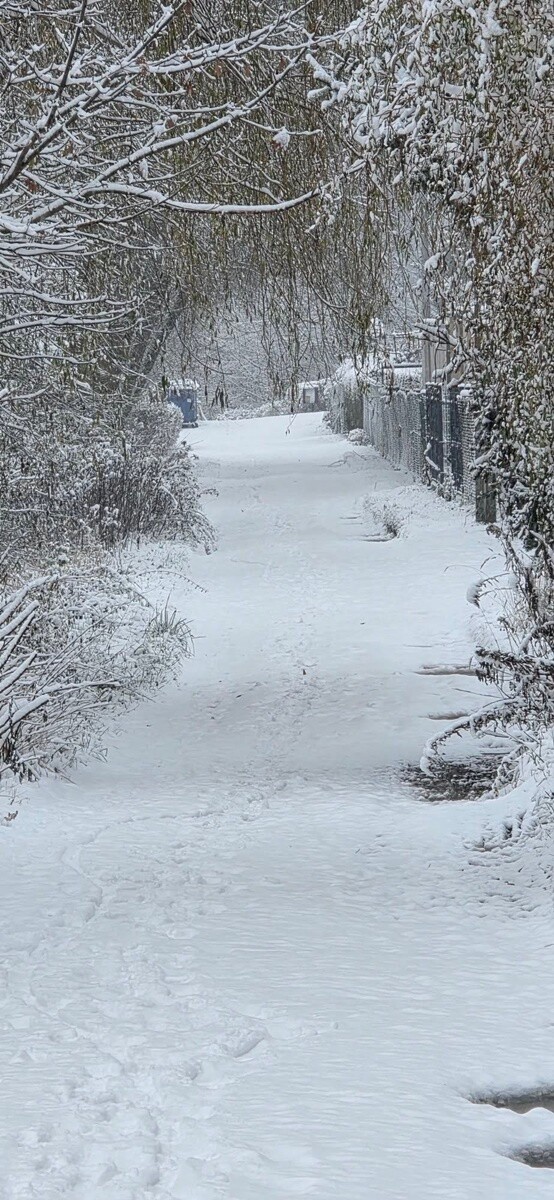 Ruda Śląska w śnieżnej odsłonie. / fot. Czytelnicy