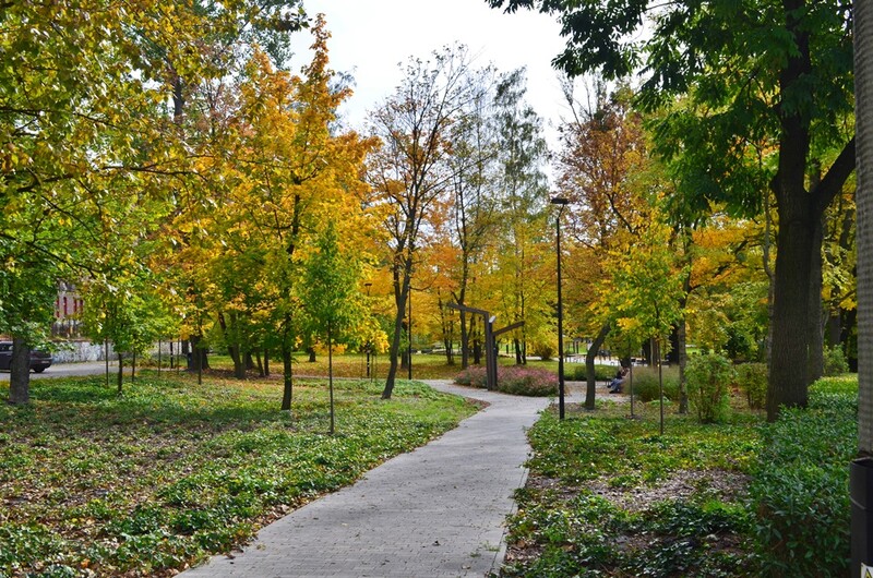 Rudzka jesień na zdjęciach. Miasto mieni się ciepłymi odcieniami kolorów