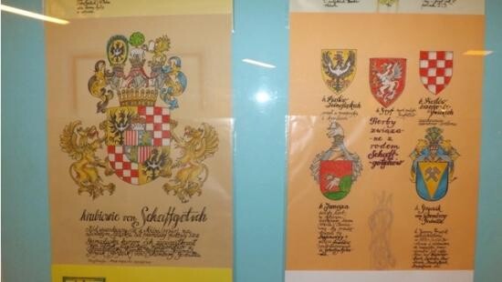 Rudzkie rody w magistracie