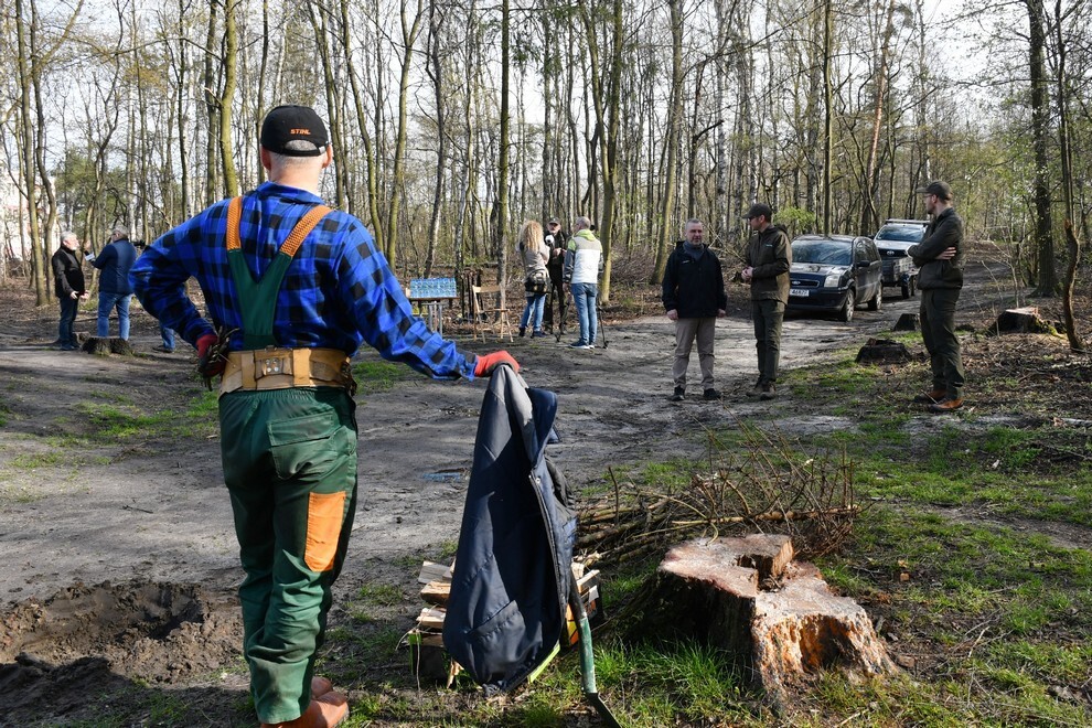W sobotę, 15 kwietnia, w Rudzie Śląskiej- Halembie zorganizowano akcję „Posadź drzewko z Nadleśnictwem Katowice”. W rejonie halembskiej „Polany” przy ul. Konstantego Ildefonsa Gałczyńskiego posadzono aż 850 sadzonek. Zobaczcie, jak przebiegała akcja!