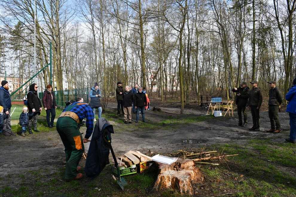 W sobotę, 15 kwietnia, w Rudzie Śląskiej- Halembie zorganizowano akcję „Posadź drzewko z Nadleśnictwem Katowice”. W rejonie halembskiej „Polany” przy ul. Konstantego Ildefonsa Gałczyńskiego posadzono aż 850 sadzonek. Zobaczcie, jak przebiegała akcja!