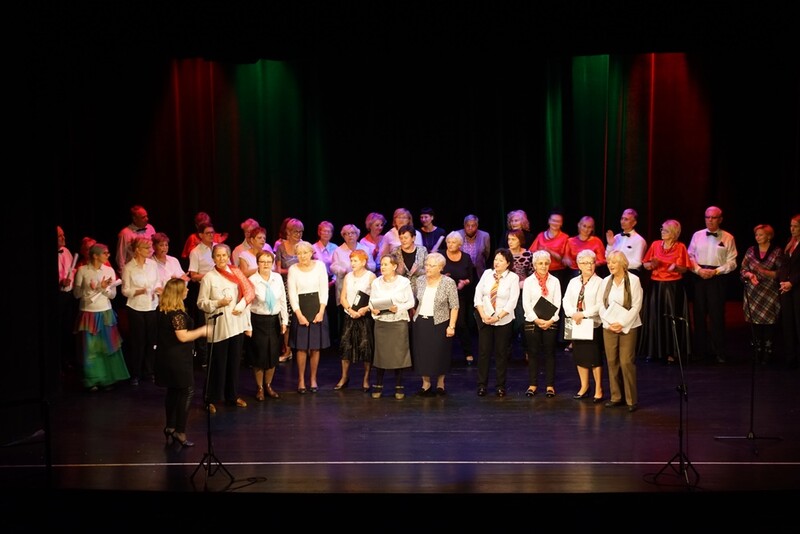 Seniorzy zaprezentowali swoje talenty!