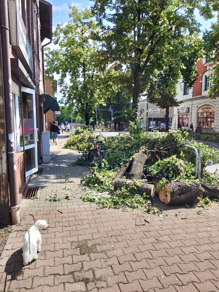 Skutki burzy w Rudzie Śląskiej.