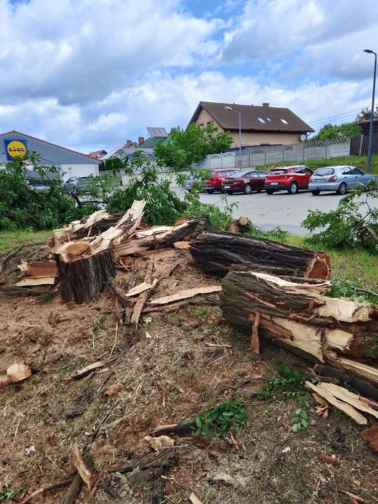 Skutki burzy w Rudzie Śląskiej.