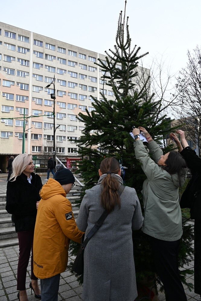 Na rudzkim rynku pojawiło się  „Świąteczne Drzewko Wspomnień o Naszych Pupilach”. / fot. UM Ruda Śląska