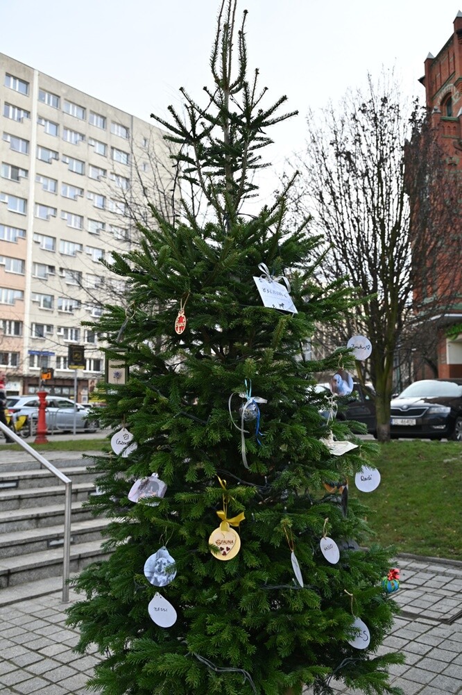 Na rudzkim rynku pojawiło się  „Świąteczne Drzewko Wspomnień o Naszych Pupilach”. / fot. UM Ruda Śląska