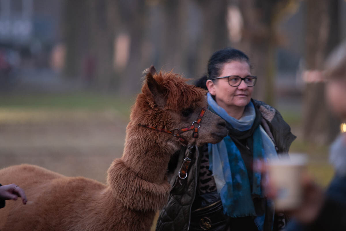 Świąteczne Kochłowice 2025 już za nami / fot. Krzysztof Faber