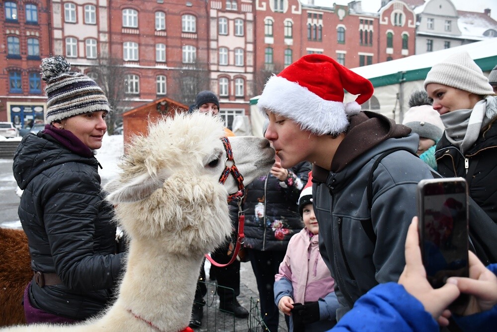 Wawel Truck i Świąteczny Konwój Radia Zet w Rudzie Śląskiej. / fot. Jacek Knapik